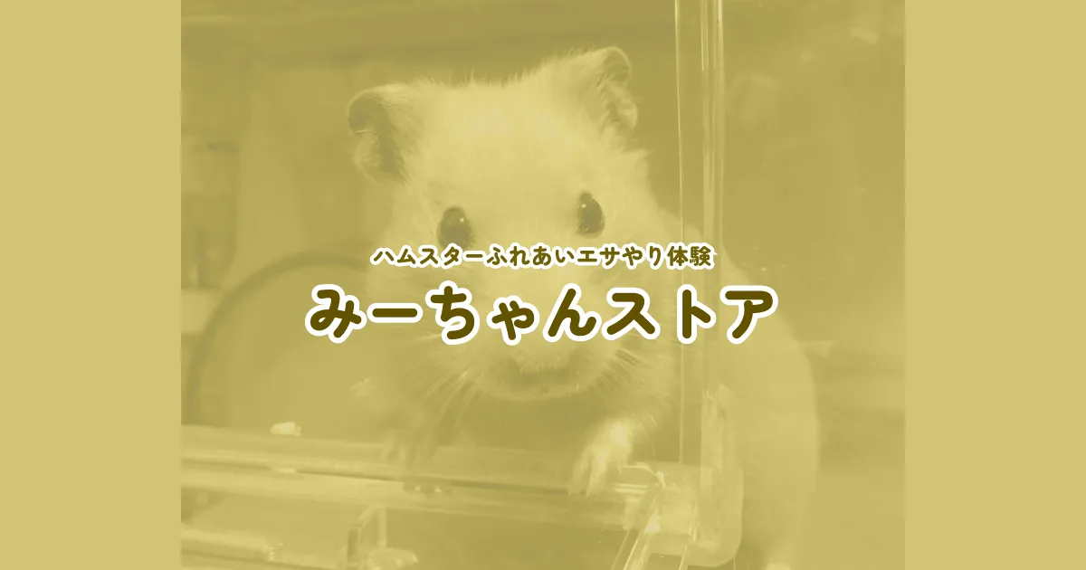 みーちゃんストア